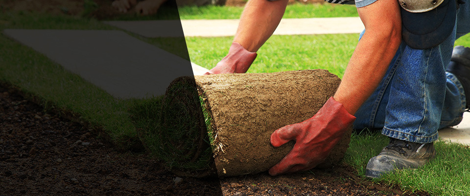 Roseville Landscapers